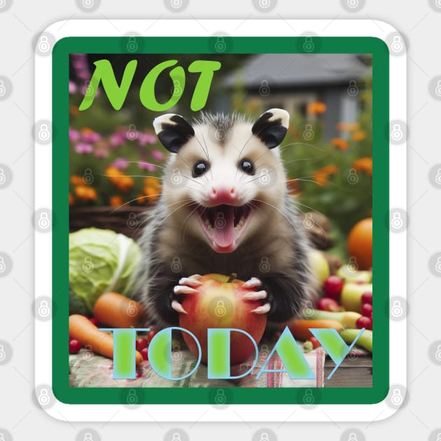 Joyful Opossum Sticker by BukovskyART